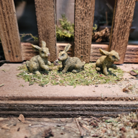 Dd-06.4  Hazen  (set 3 stuks)