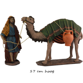 TCbld-1.41: Kameel met kamelendrijver