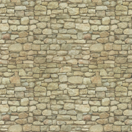 Gp08b: Steenpapier (ruïne-muur)