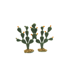 Bl-04.0: Cactussen 6 cm (2 stks)