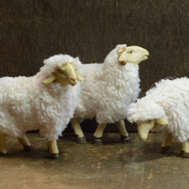 Dd-855a Wollige schapen (set 5 stuks)