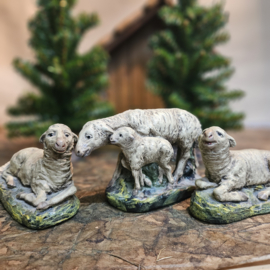S/H 3.2k: Set oude schapen voor ca. 25 / 30 cm fig.
