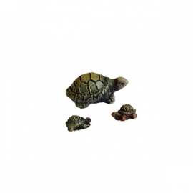 Dd-91.1 Schildpadden