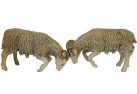 Dd-851 Schapen (Ram) 7.5 cm hoog