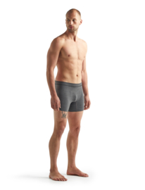 Icebreaker Mens Cool-lite seamless boxers / Monsoon - M-L