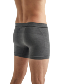 Icebreaker Mens Cool-lite seamless boxers / Monsoon - M-L