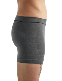 Icebreaker Mens Cool-lite seamless boxers / Monsoon - M-L