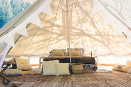 Sibley 500 ProTech DD