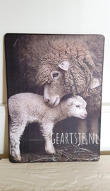DECO BOARD - SCHAAP met LAMMETJE -