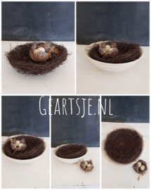 NEST - SALIM -