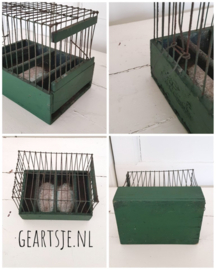 VOGELKOOI - groen - H 15 cm.