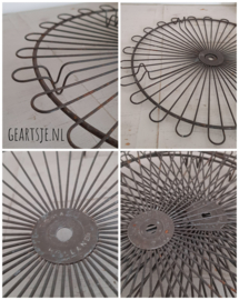 TAARTROOSTER - 30 cm -