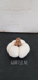 POMPOEN - H ca 8 cm - oud wit -