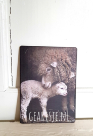DECO BOARD - SCHAAP met LAMMETJE -