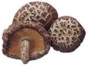 Shitake mushrooms 100 gr