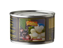 Daily Waterkastanjes, water chestnuts 230 gram