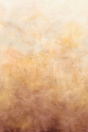 Arte Ombré Flux 32380 Golden Cloud 204cm breed x 320cm hoog (met gratis lijm!)