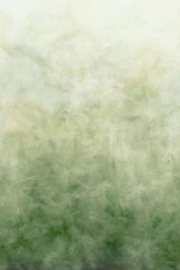 Arte Ombré Flux 32382 Emerald Haze 204cm breed x 320cm hoog (met gratis lijm!)
