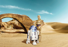 Komar fotobehang 8-484 Star Wars Lost Droids