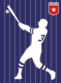 Fotowand Baseball by Bo Lundberg afm. 200cm x 270cm hoog