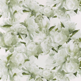 Designers Guild PDG1094/03 Peonia