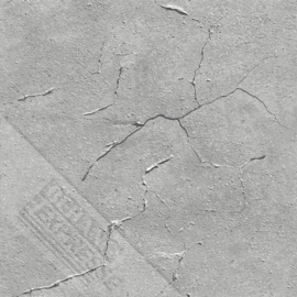 Behangexpresse Thomas - 27119 betonwand