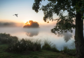 Fotobehang Zonsopgang bij meer