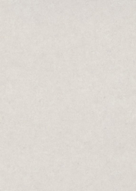 Erismann Gentle 10430-39