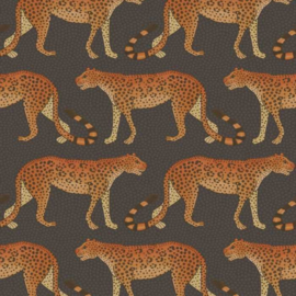 Cole & Son The Ardmore Collection 109/2008 Leopard Walk (met gratis lijm!)
