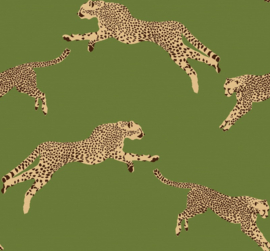 Hookedonwalls Scalamandré JV26024 Leaping Cheetah (met gratis lijm!)