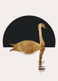 Fotowand The swan 1 by Kubistika afm. 200cm x 280cm hoog