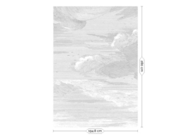 Kek Book V wp-620 Engraved Clouds 194,8cm breed x 280cm hoog (met gratis lijm!)