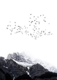 Fotowand The mountains by Kubistika afm. 200cm x 280cm hoog