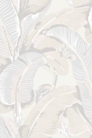 Hookedonwalls Scalamandré JV26009 Hinson Palm (met gratis lijm!)