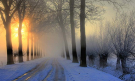 Fotobehang Holland 0007 - Winterochtend