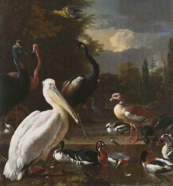 Dutch Painted Memories 8014 The floating feather Melchior d'Hondecoeter