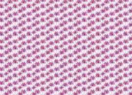 Creative Lab Miami Purple 389,6cm x 280cm hoog (met gratis lijm!)