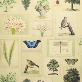 John Derian for Designers Guild PJD6001/01 Flora and Fauna