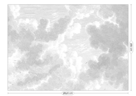 Kek Book V wp-651 Engraved Clouds 389,6cm breed x 280cm hoog (met gratis lijm!)