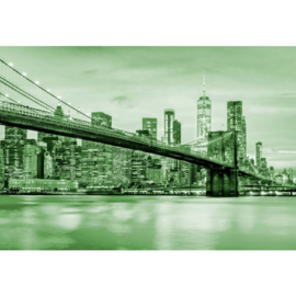 Fotobehang Brooklyn Bridge NYC Groen
