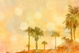 Fotowand Palm oasis 1 by Andrea Haase afm. 400cm x 270cm hoog