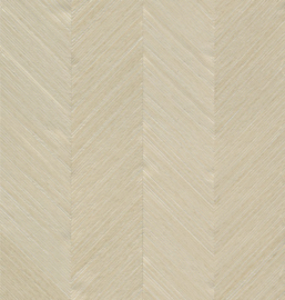 Arte Zephyr Kinisi 48600 Warm Silver (met gratis lijm!)