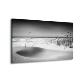 Canvasdoek Strand