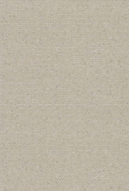 Arte All Naturals Shimmer 40351A Ash (met gratis lijm!)