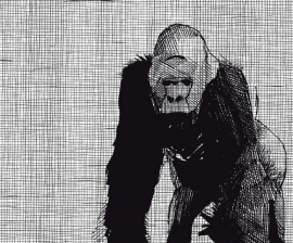 Dutch DigiWalls Due - art. 2033 Gorilla