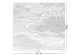 Kek Book V wp-635 Engraved Clouds 292,2cm breed x 280cm hoog (met gratis lijm!)