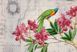 Fotowand Bird discovery 1 by Andrea Haase afm. 400cm x 270cm hoog