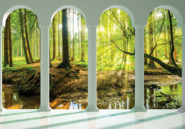 Fotobehang Zonnig bos natuurzicht