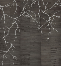 Arte Light At Night LAN272 Bright 273cm breed x 300cm hoog (met gratis lijm!)