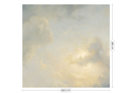 Kek Book V wp-395 Golden Age Clouds 292,2cm breed x 280cm hoog (met gratis lijm!)